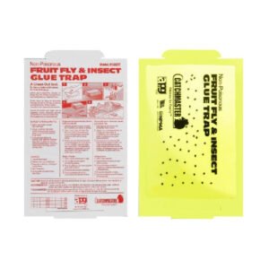 Fruit Fly Glue trap
