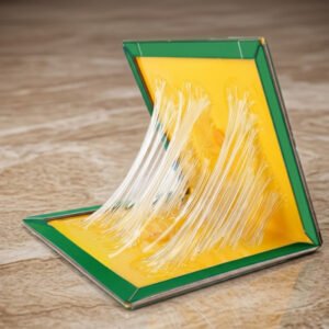 Glue Pads